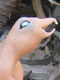 Hatchling Cockatrice